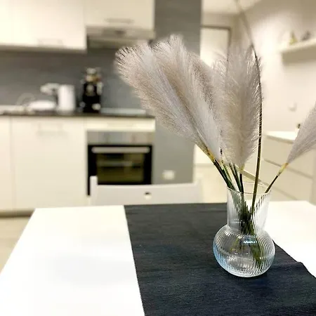 公寓 {milano Centrale - Corso Buenos Aires} White Loft 米兰